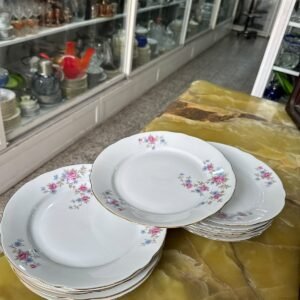 Juego de 12 platos playos porcelana verbano