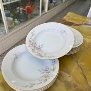 Juego de 11 platos hondos porcelana tsuji
