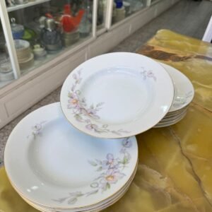 Juego de 11 platos hondos porcelana tsuji