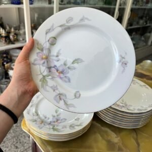Juego de 17 platos de postre o de pan porcelana tsuji