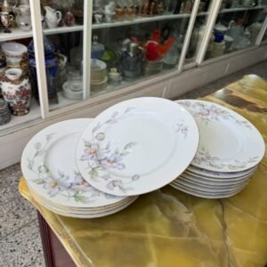 Juego de 12 platos playos porcelana tsuji