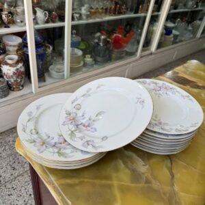 Juego de 12 platos playos porcelana tsuji
