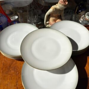 Juego de 12 platos playos de porcelana Rosenthal