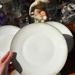 Juego de 12 platos playos de porcelana Rosenthal