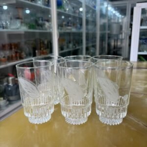 Juego de 6 vasos de vidrio grabados al ácido