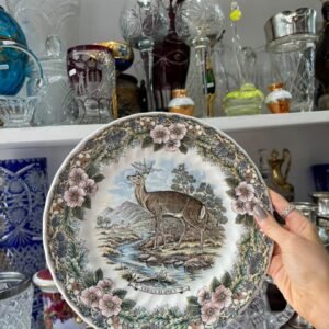 Plato inglés de colección