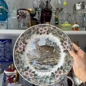 Plato inglés de colección